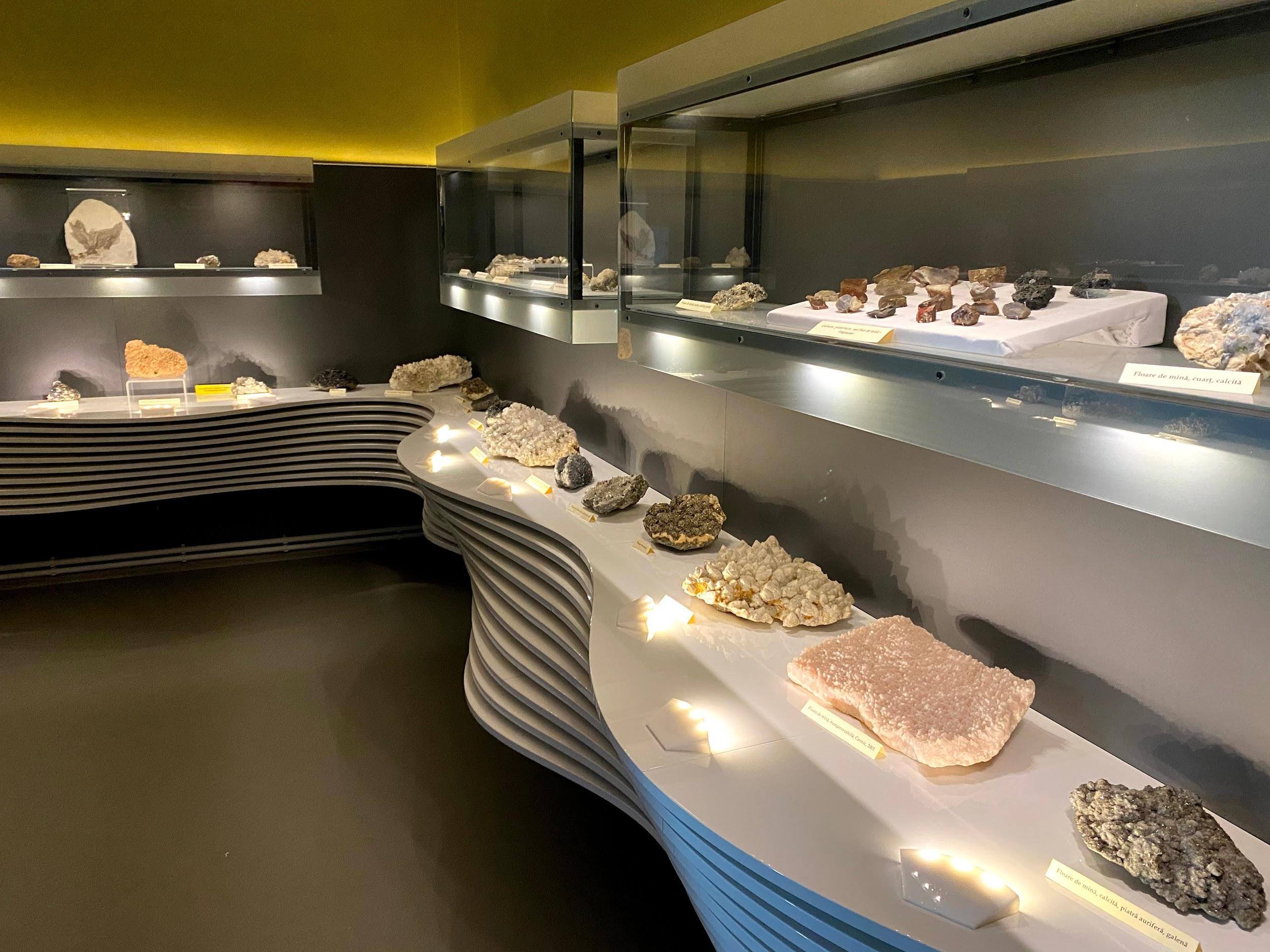 Sala muzeului cu blatul de expunere iluminat